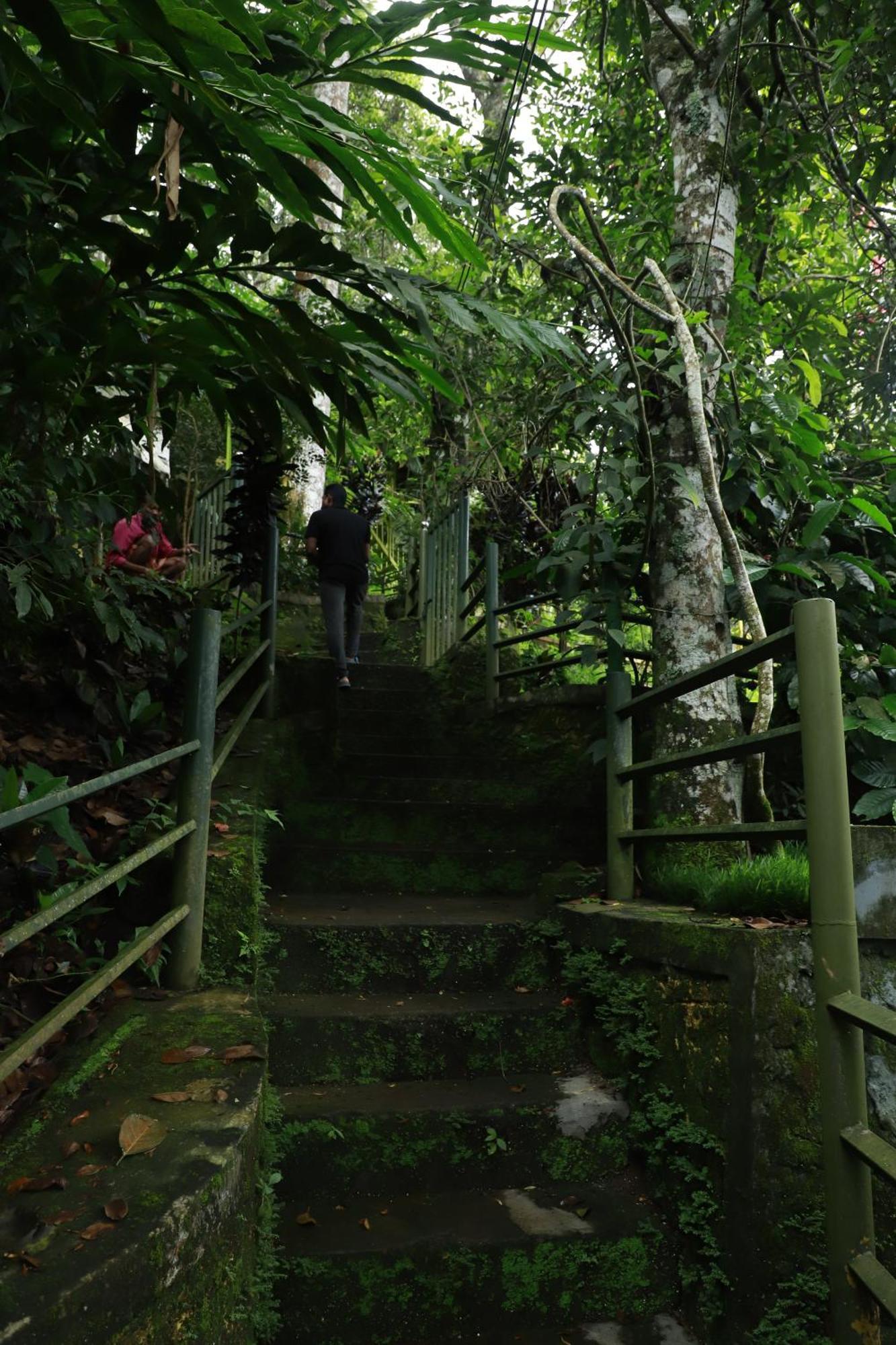 Nature Villa Anachal Extérieur photo