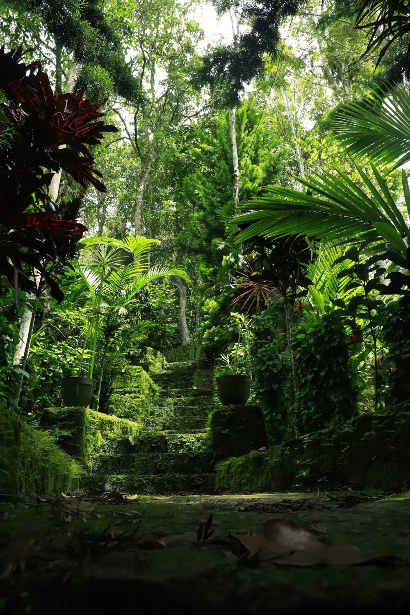 Nature Villa Anachal Extérieur photo