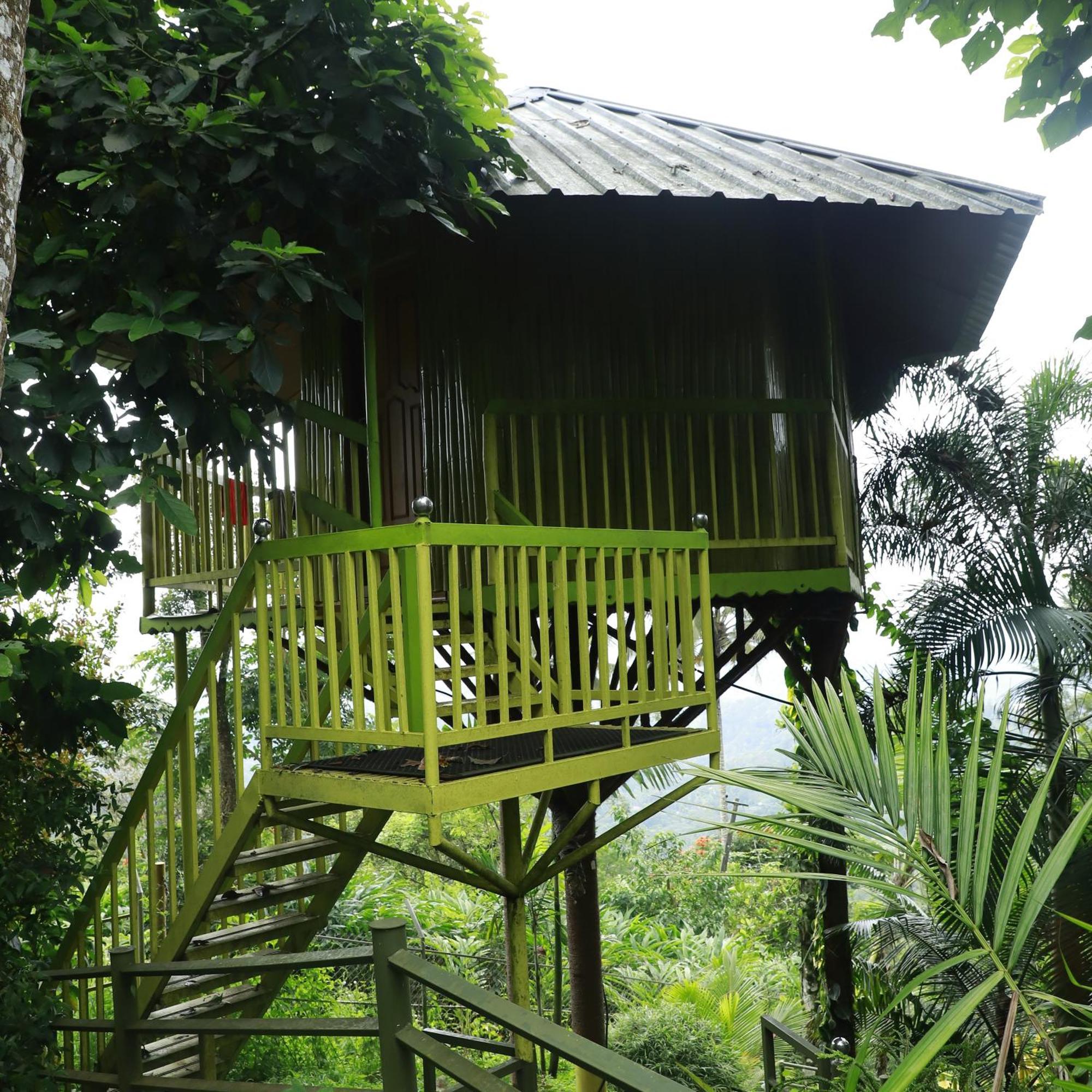 Nature Villa Anachal Extérieur photo